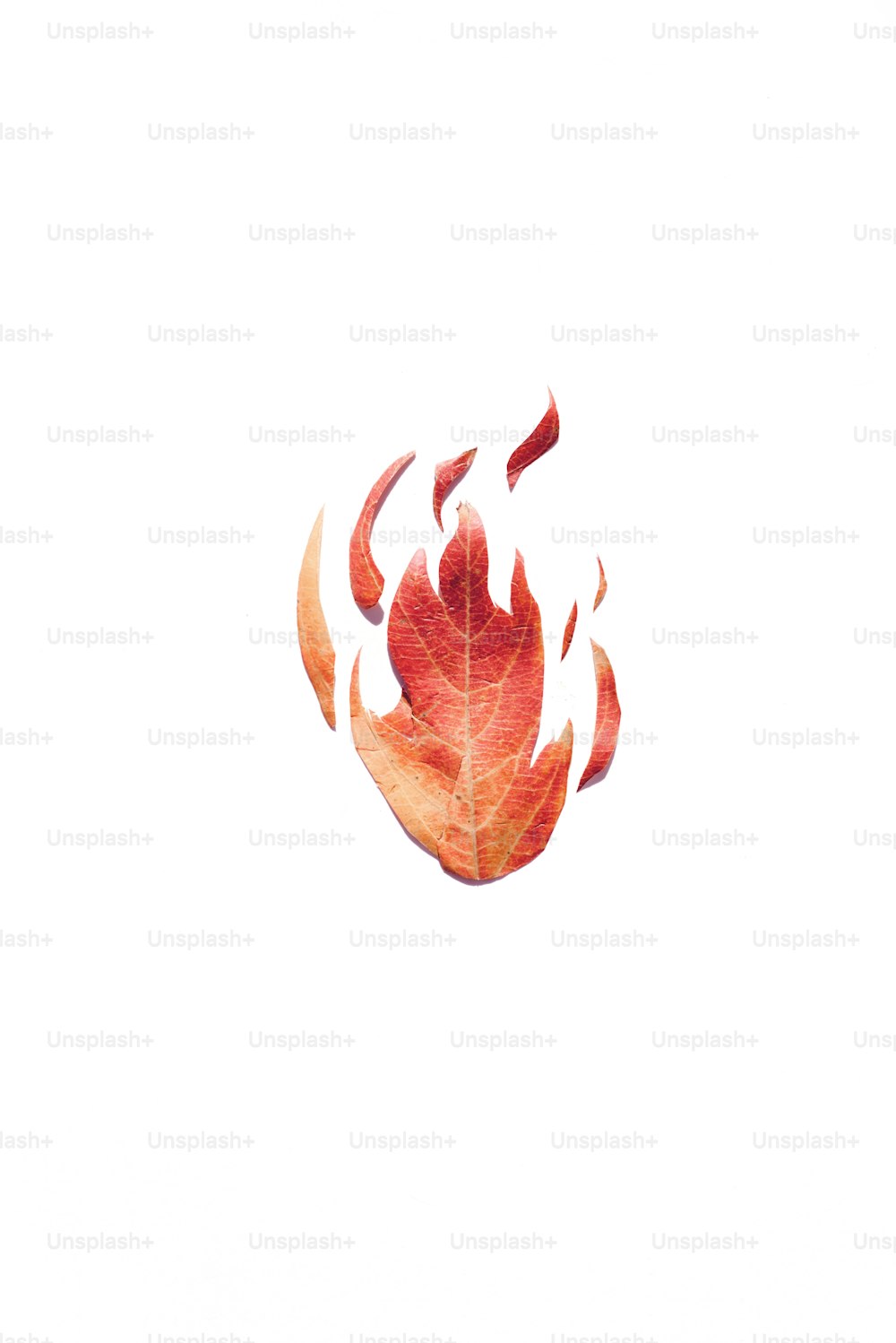 a red leaf floating in the air on a white background