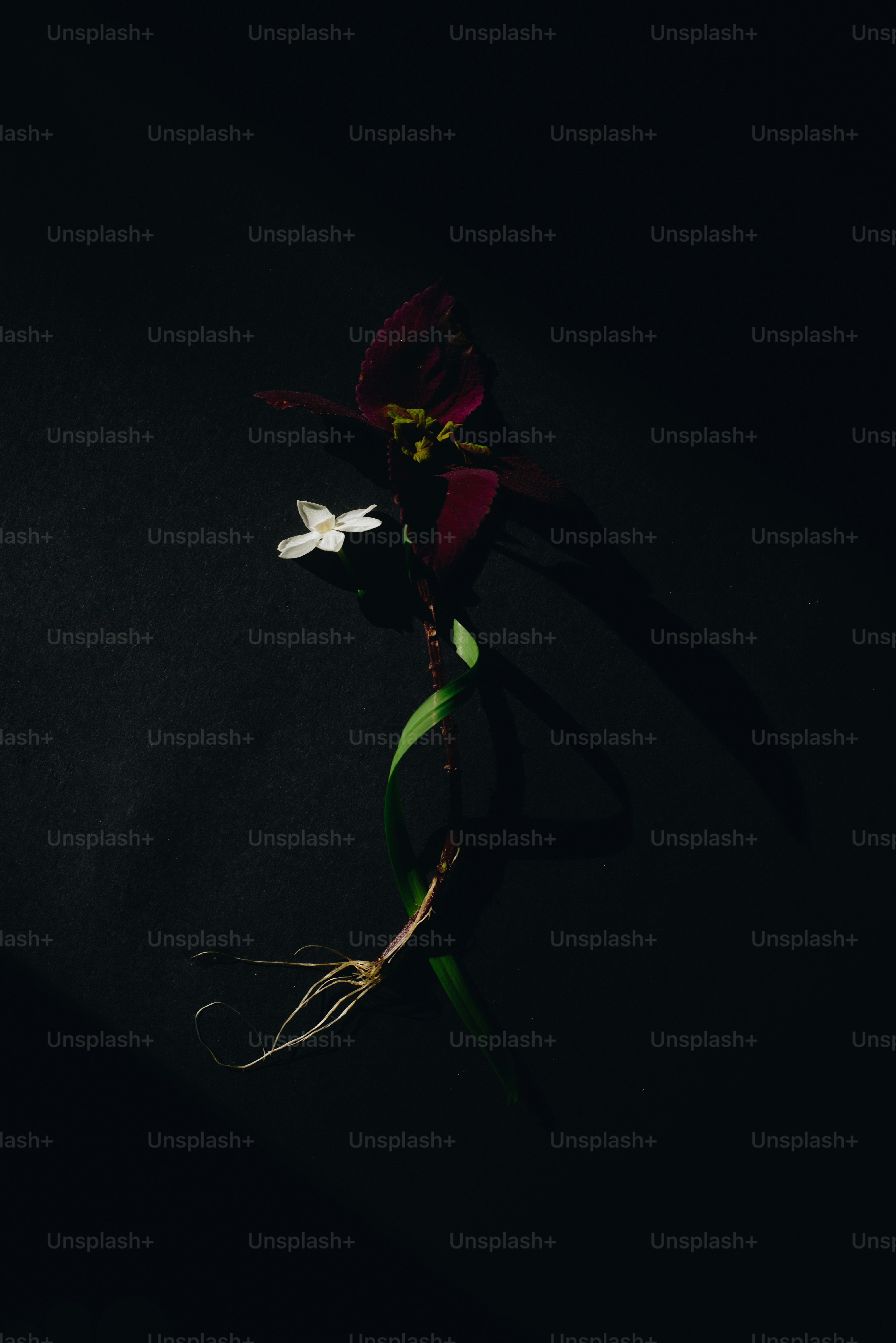 テーブルの上に座っている花