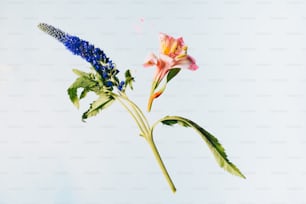 a flower that is in the air with a sky background