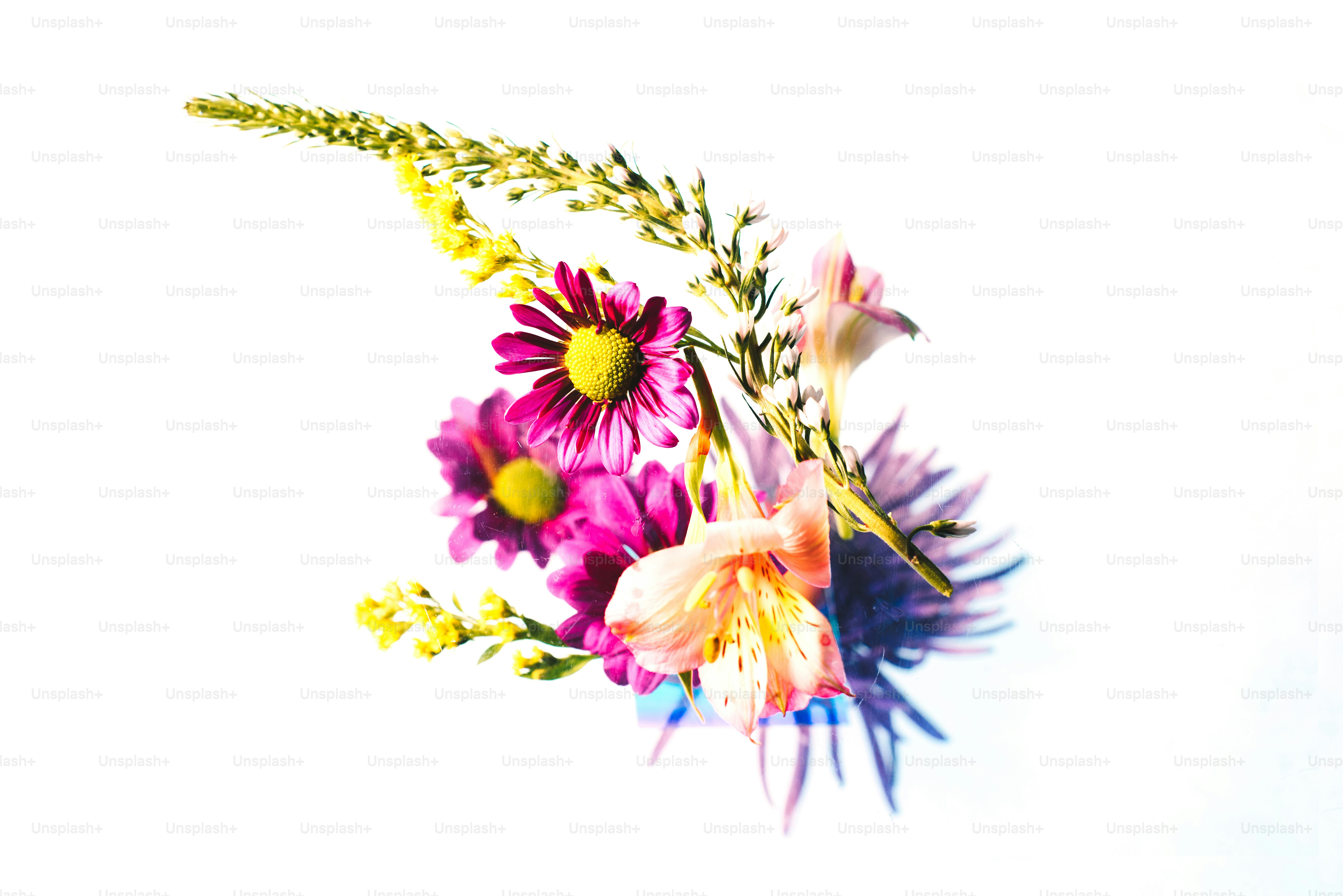 eine Nahaufnahme eines Blumenstraußes auf weißem Hintergrund