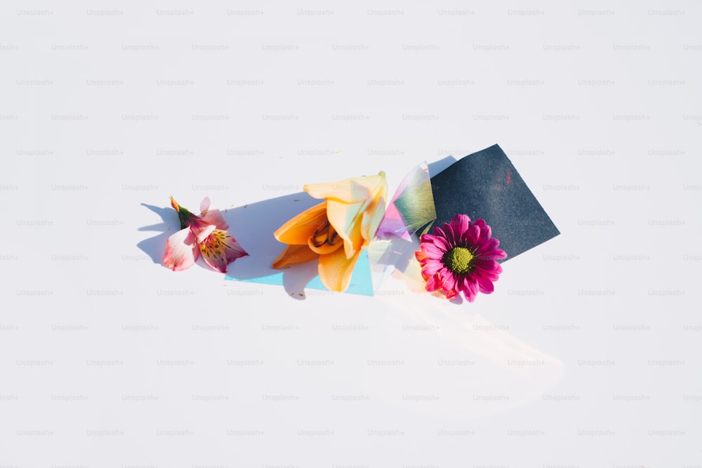 a group of flowers sitting on top of a white surface