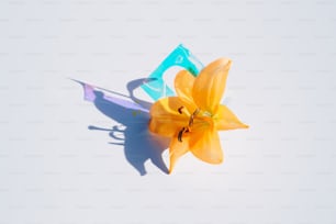 a yellow flower with a pair of scissors on it