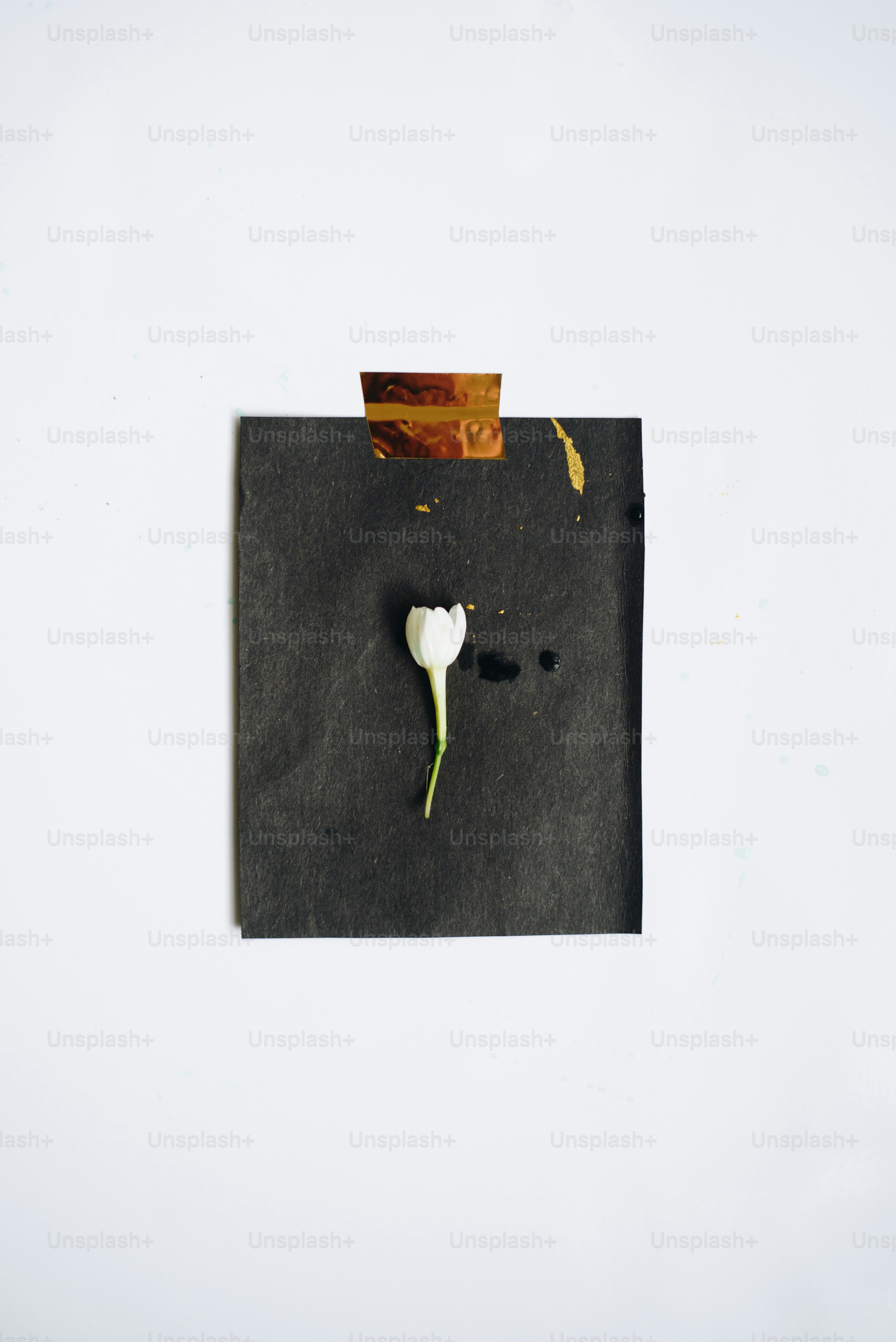 ein Stück Papier mit einer Blume darauf