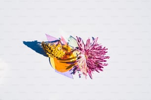 a close up of a flower on a white background