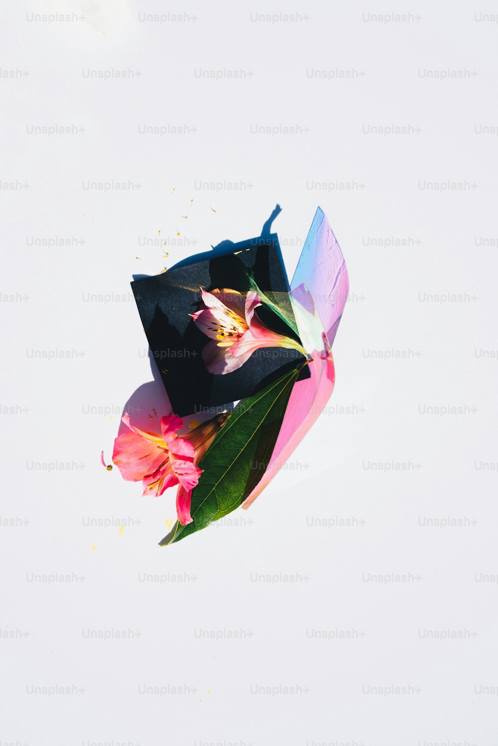 un parapluie noir avec des fleurs roses dessus