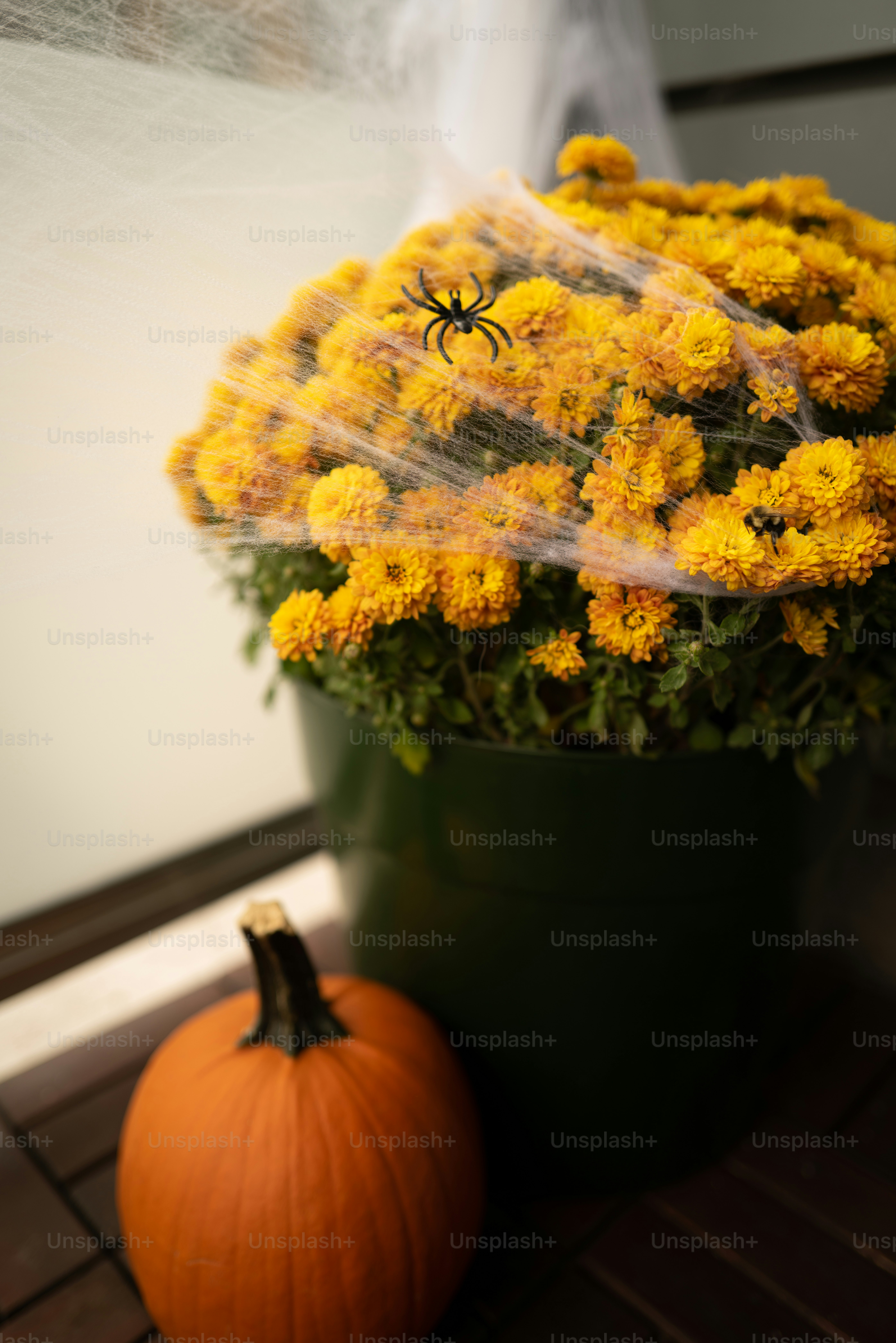 a green pot with yellow flowers and a spider on it