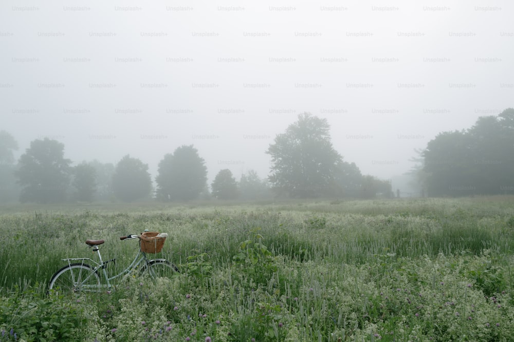 a bike parked in a field of tall grass