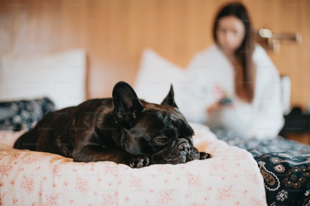 um cachorro preto deitado em uma cama ao lado de uma mulher