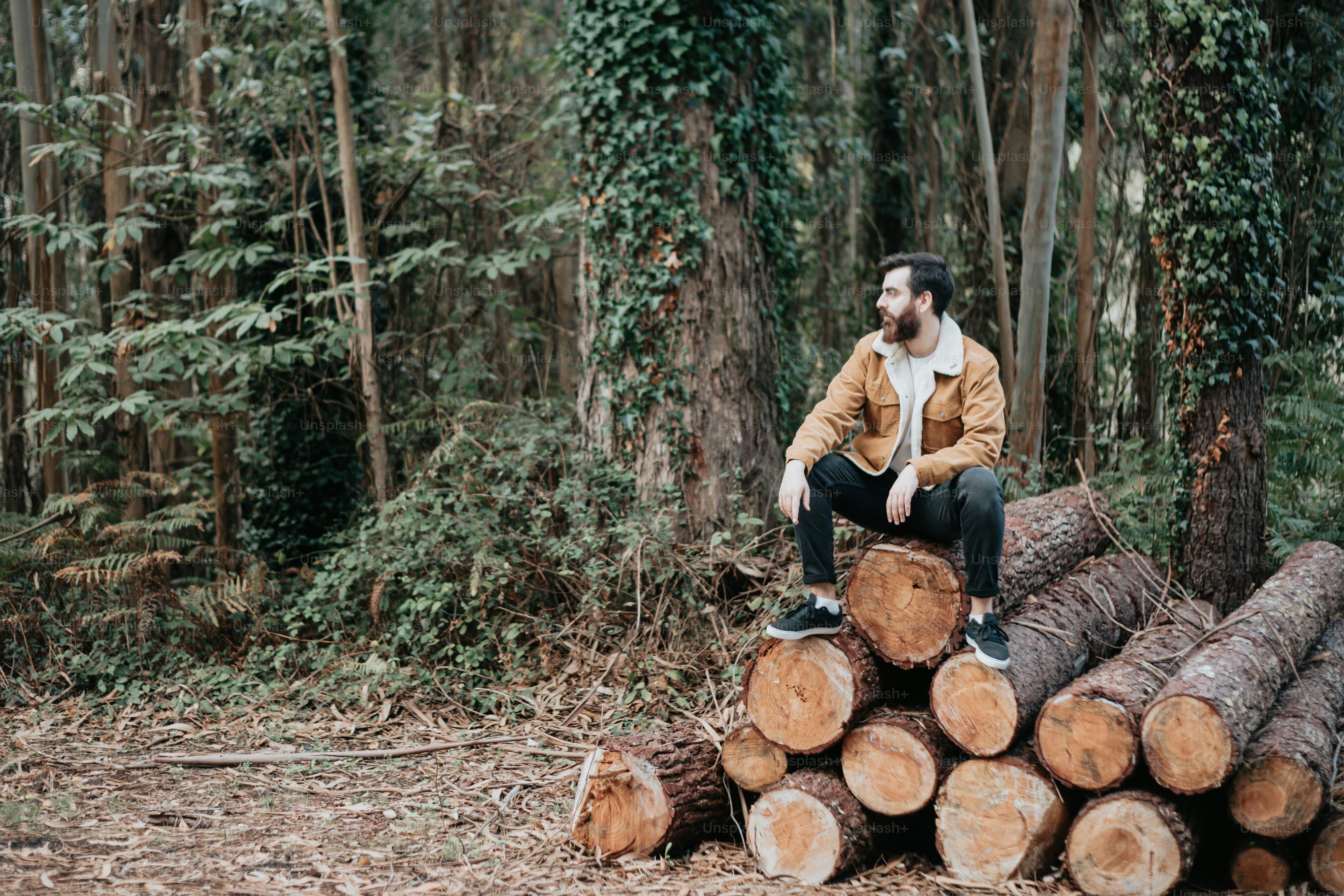 丸太の山の上に座っている男