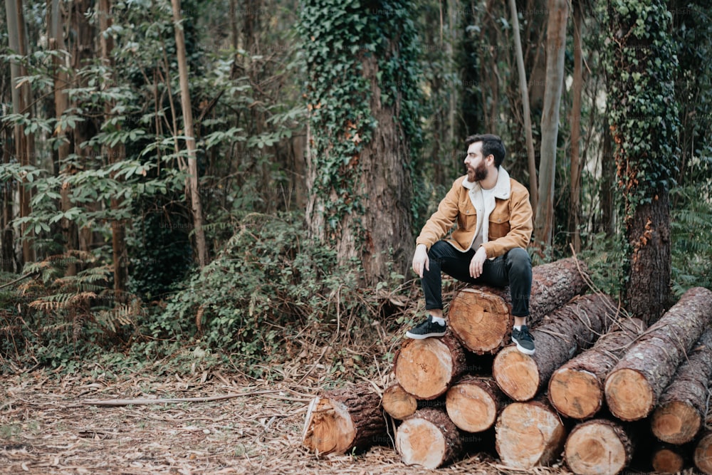 Un hombre sentado encima de una pila de troncos