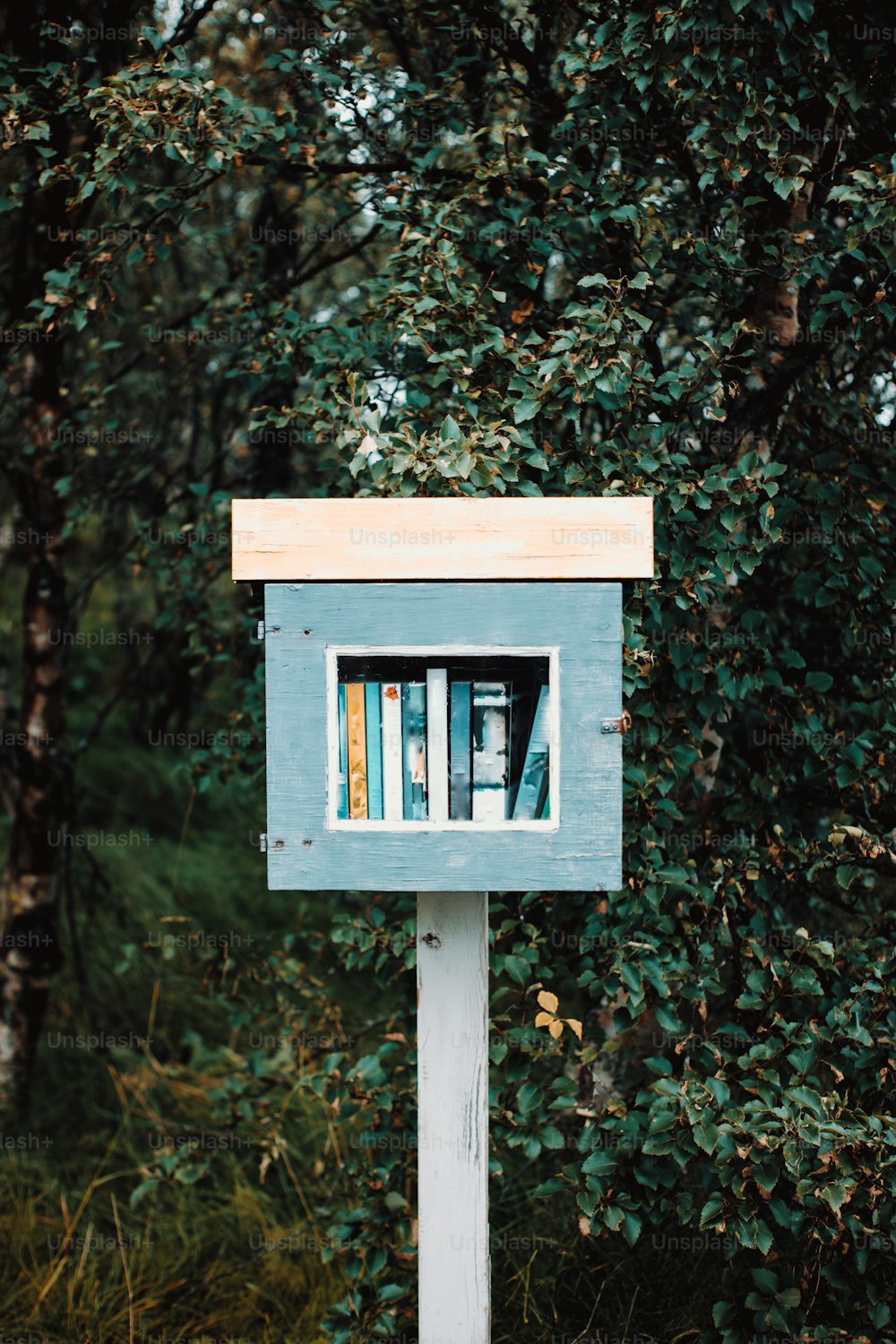 uma caixa de correio azul com livros