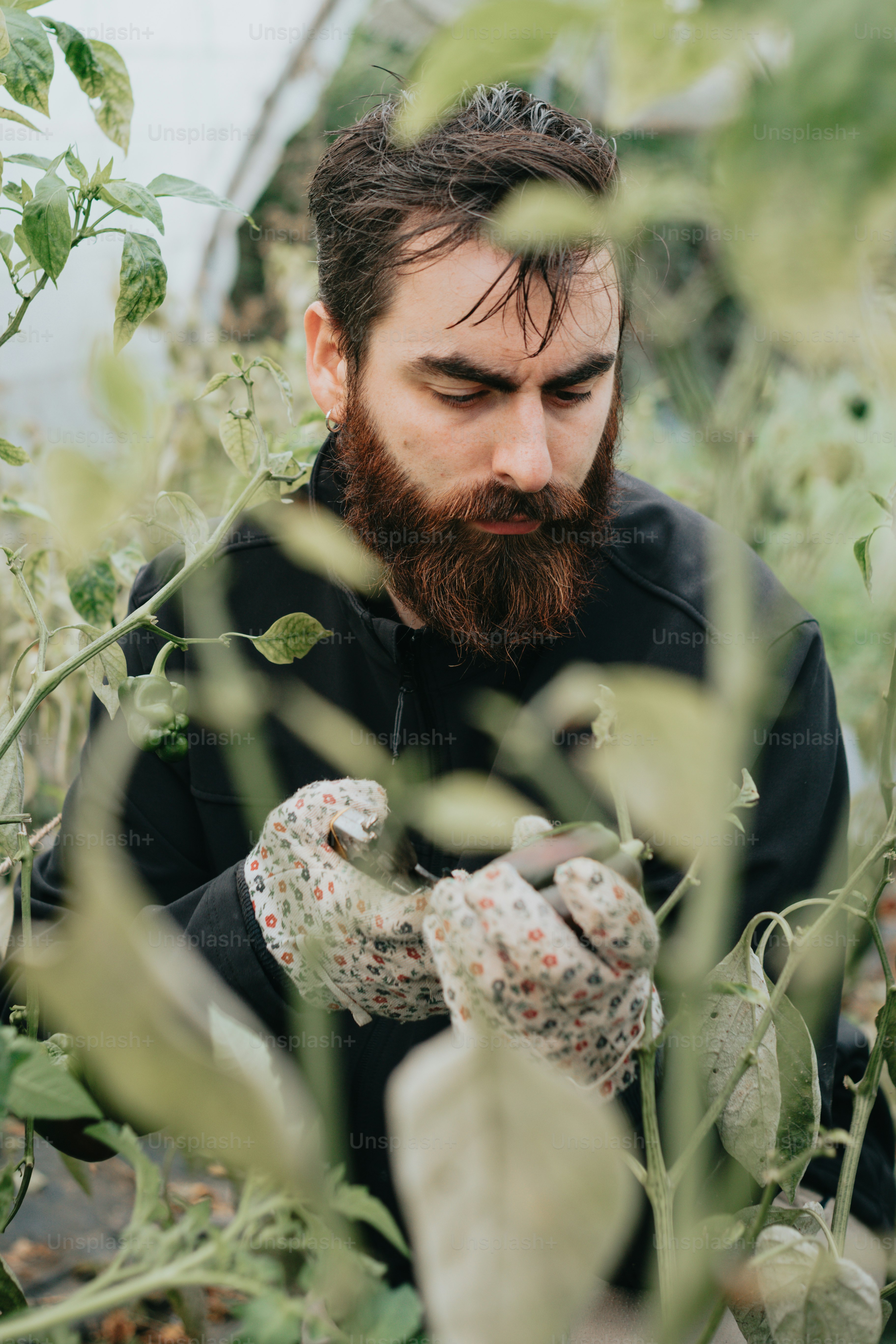 a man with a beard and gloves in a greenhouse