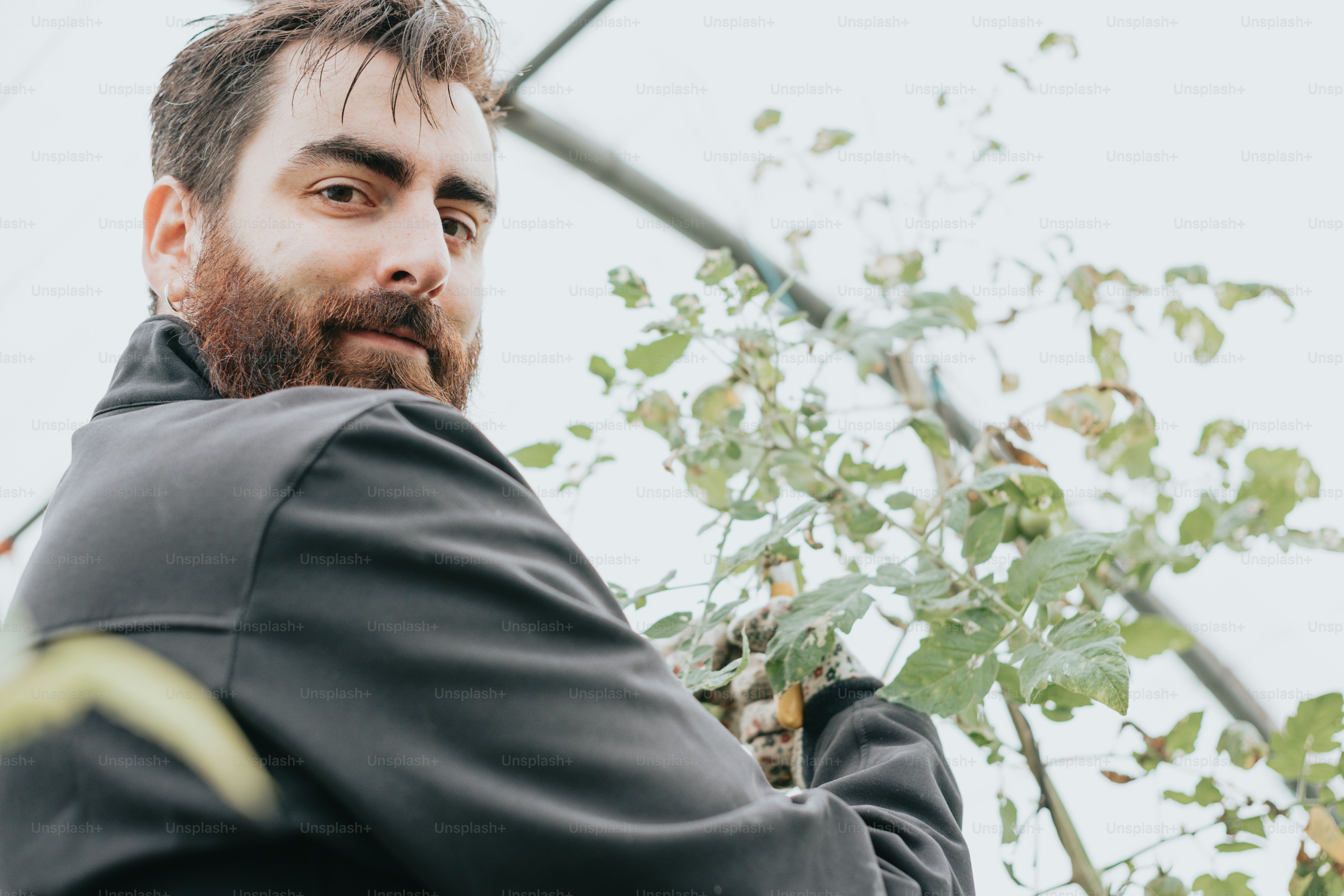 Un uomo con la barba in piedi in una serra