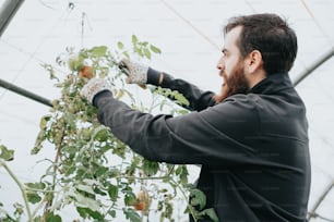 a man in a black jacket is trimming a plant