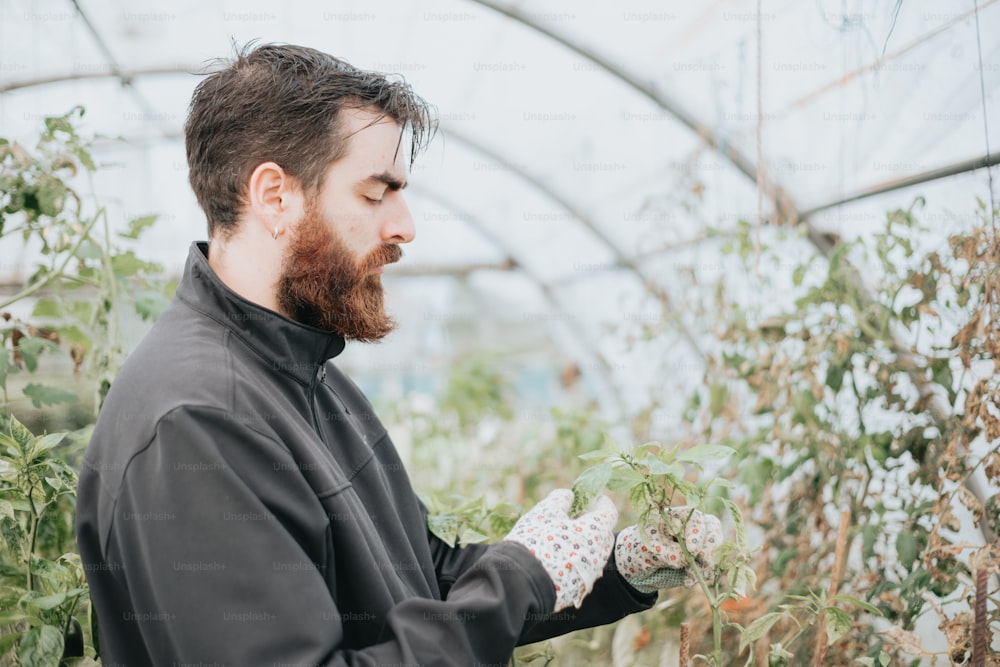a man with a beard and gloves in a greenhouse