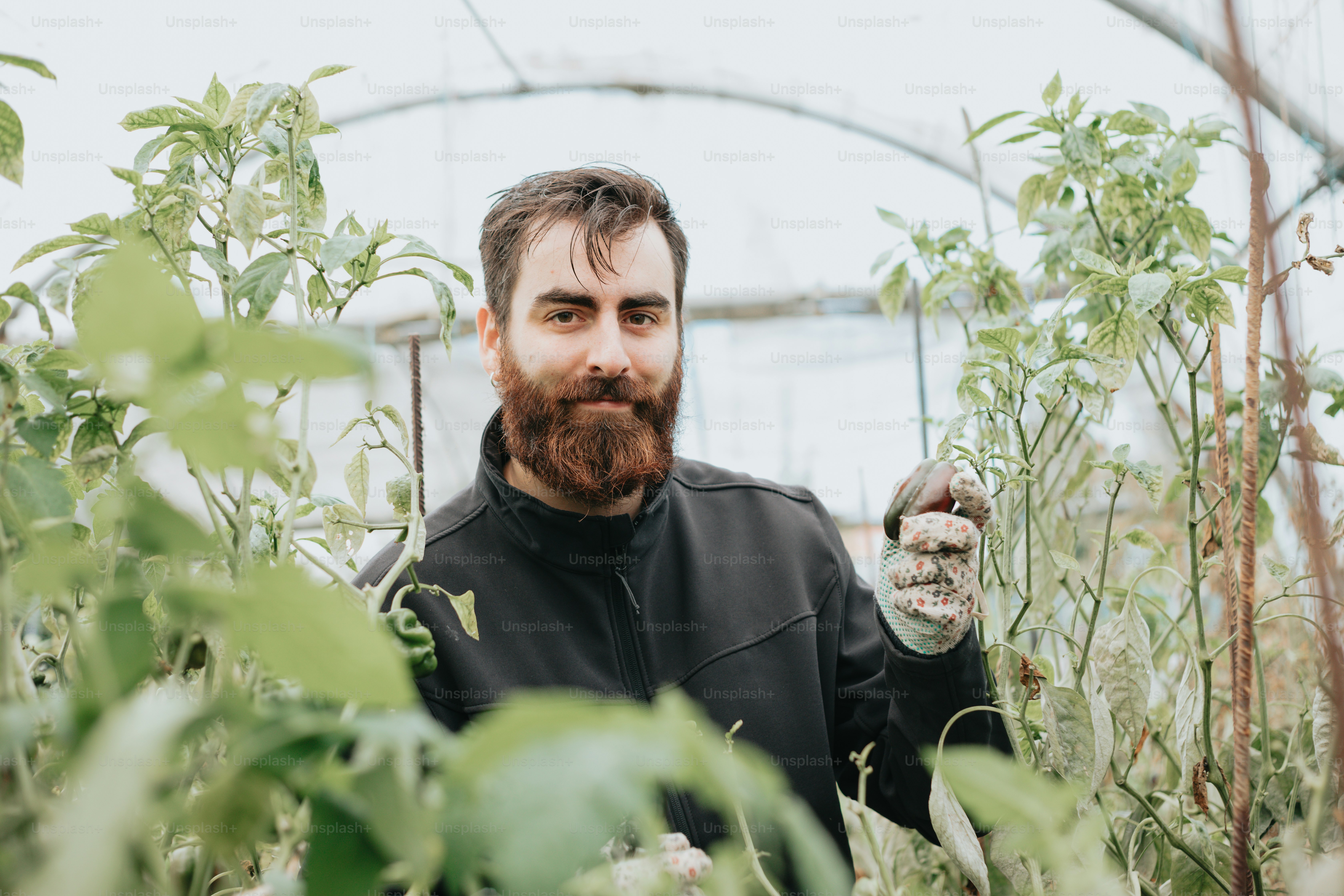 un uomo con la barba che tiene qualcosa in mano