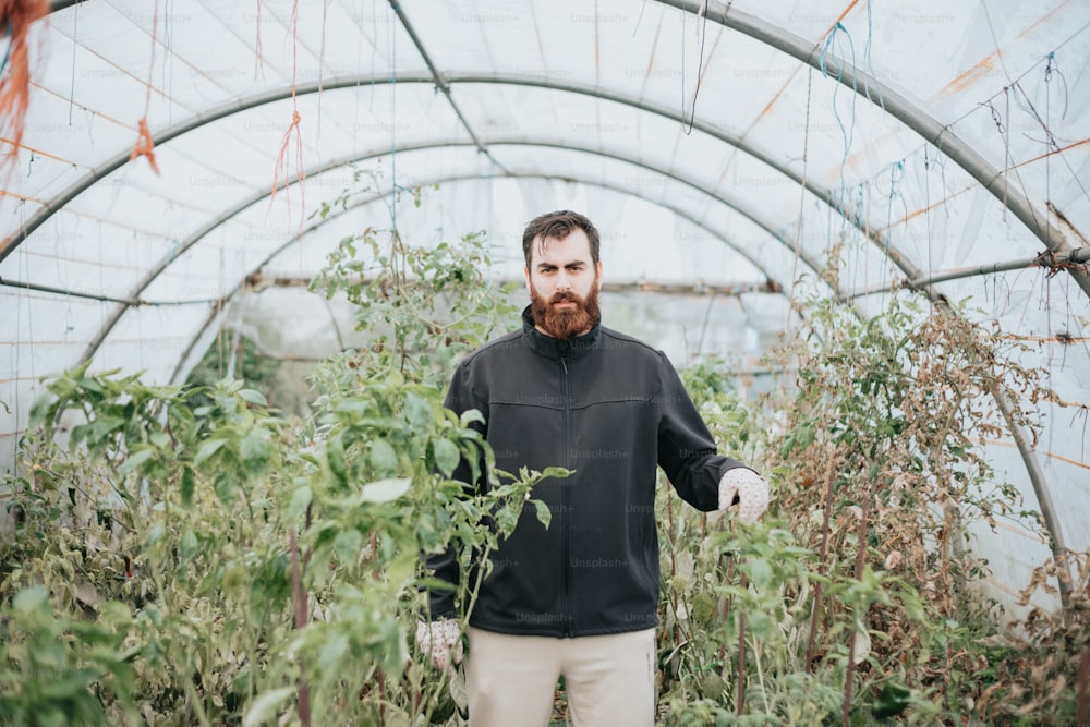 Un hombre parado en un invernadero sosteniendo una planta