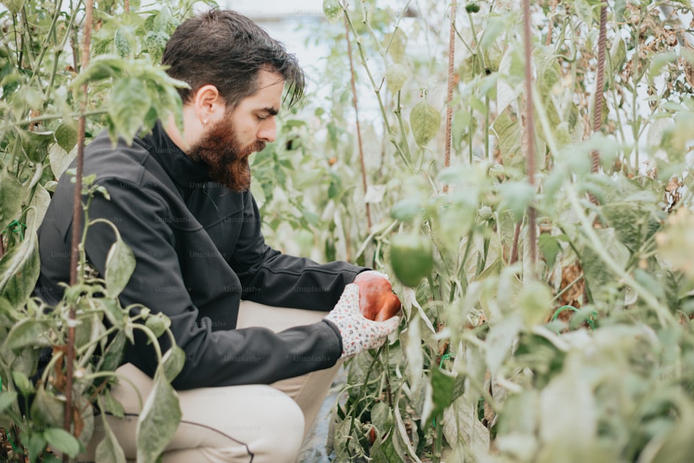 Un uomo inginocchiato in un campo con in mano una mela