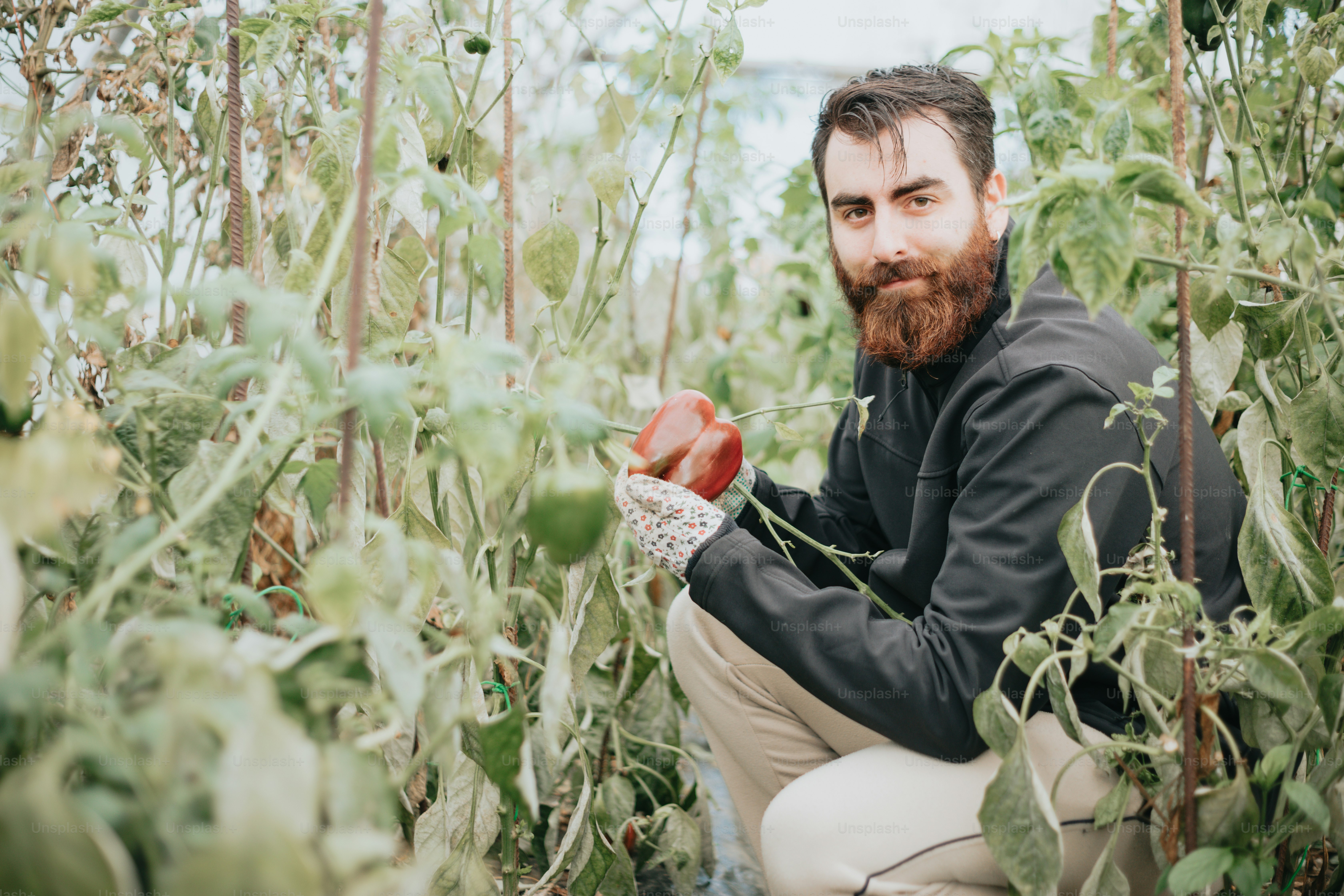 a man kneeling down in a field holding an apple