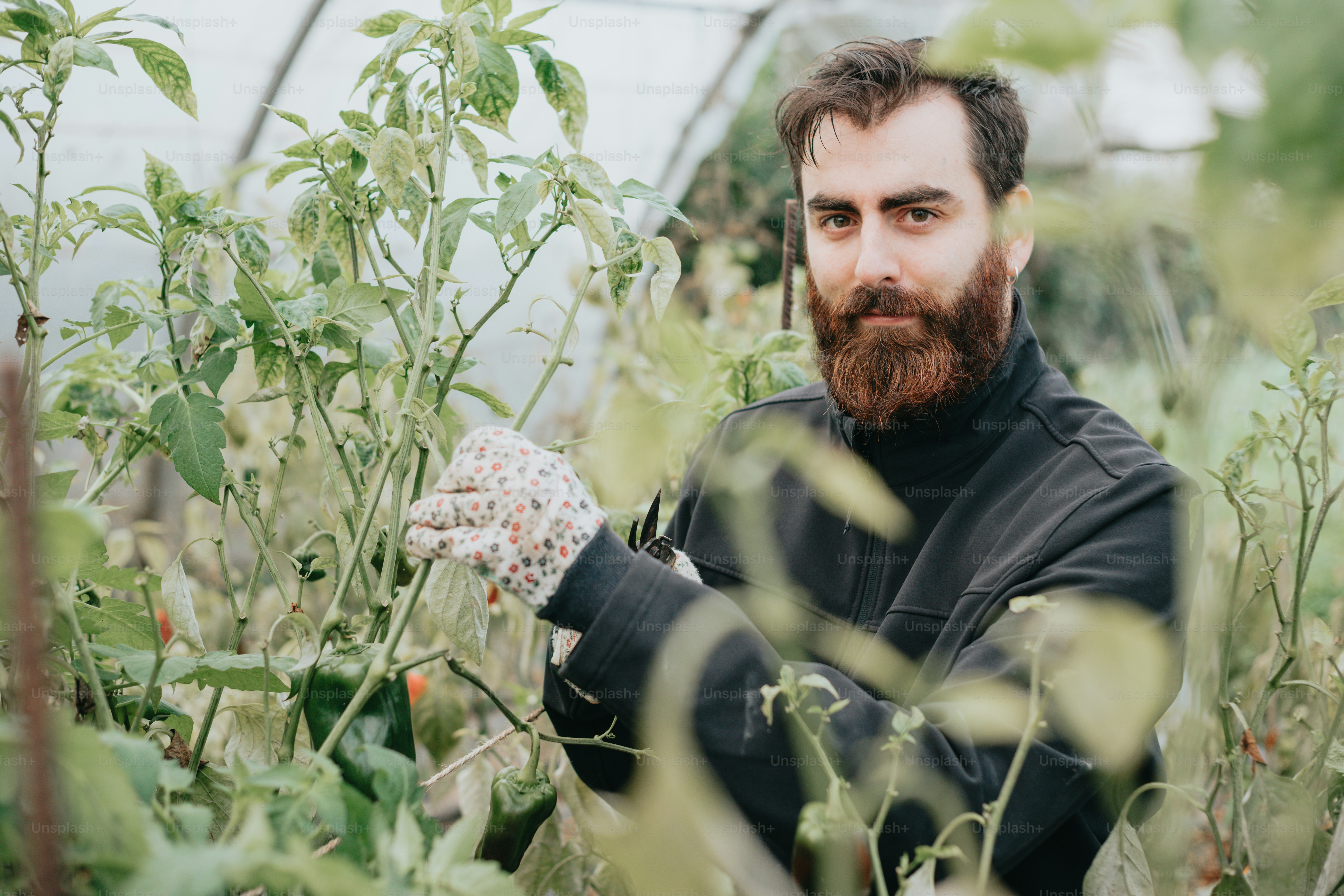 a man with a beard is holding something in his hands