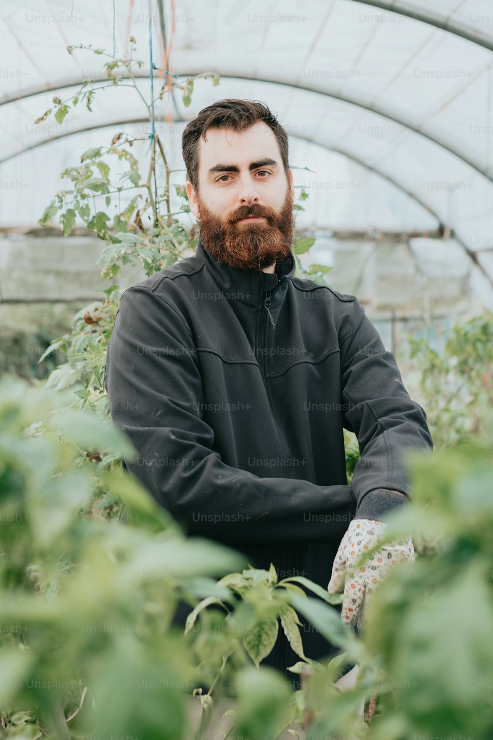 a bearded man in a greenhouse with his arms crossed