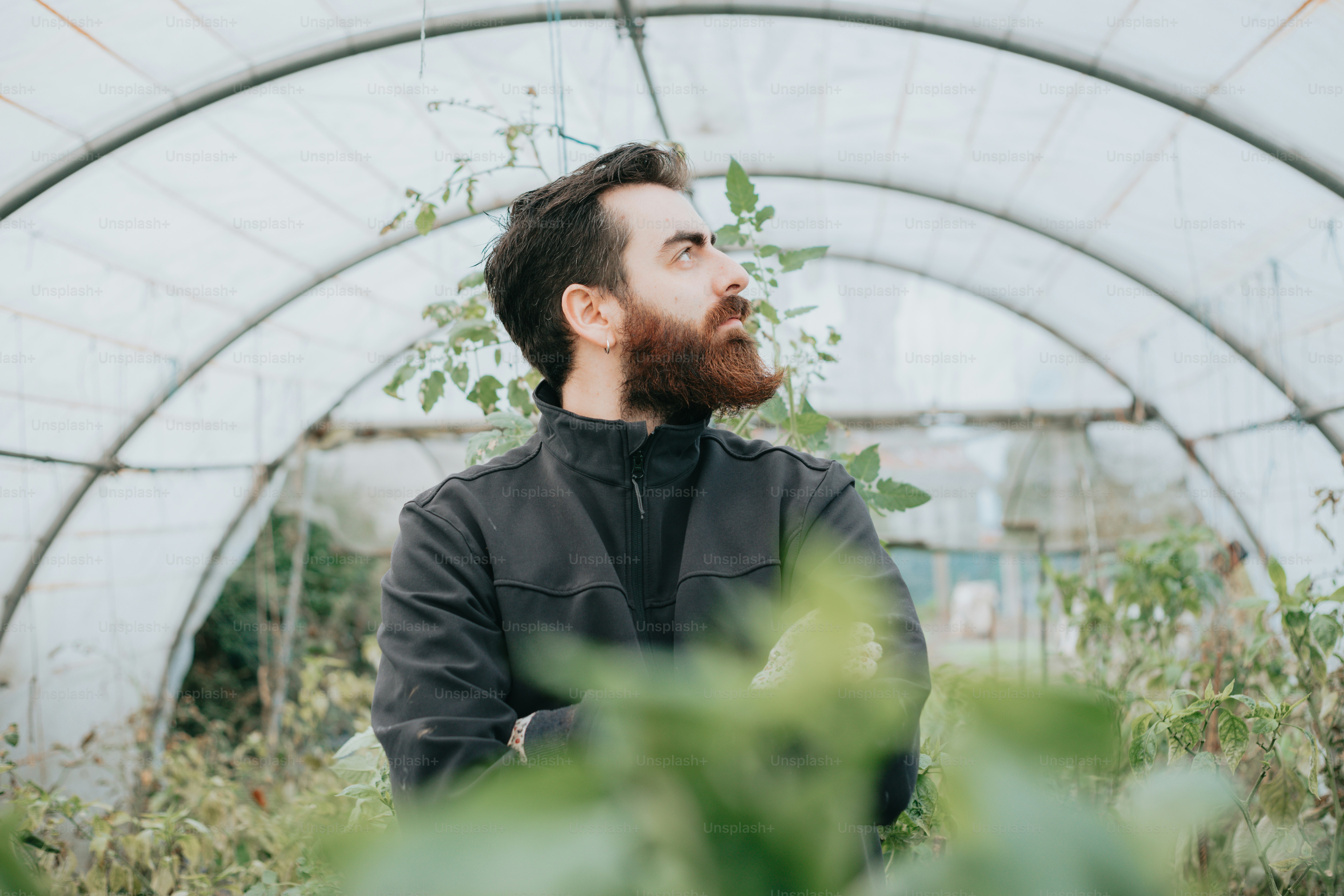 a man with a beard standing in a greenhouse
