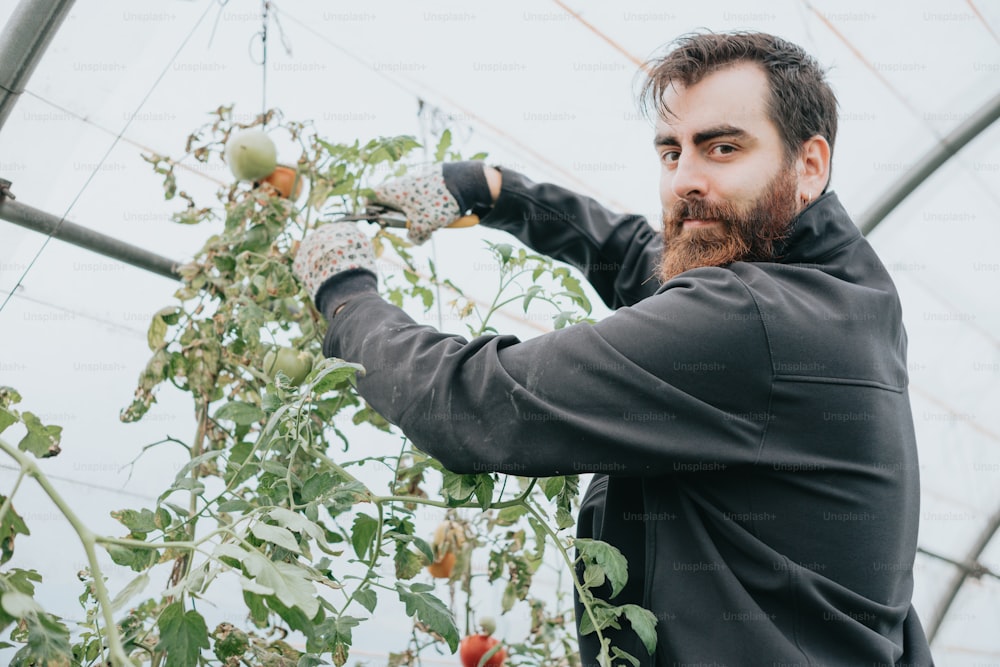 Un hombre con barba sostiene una planta en un invernadero