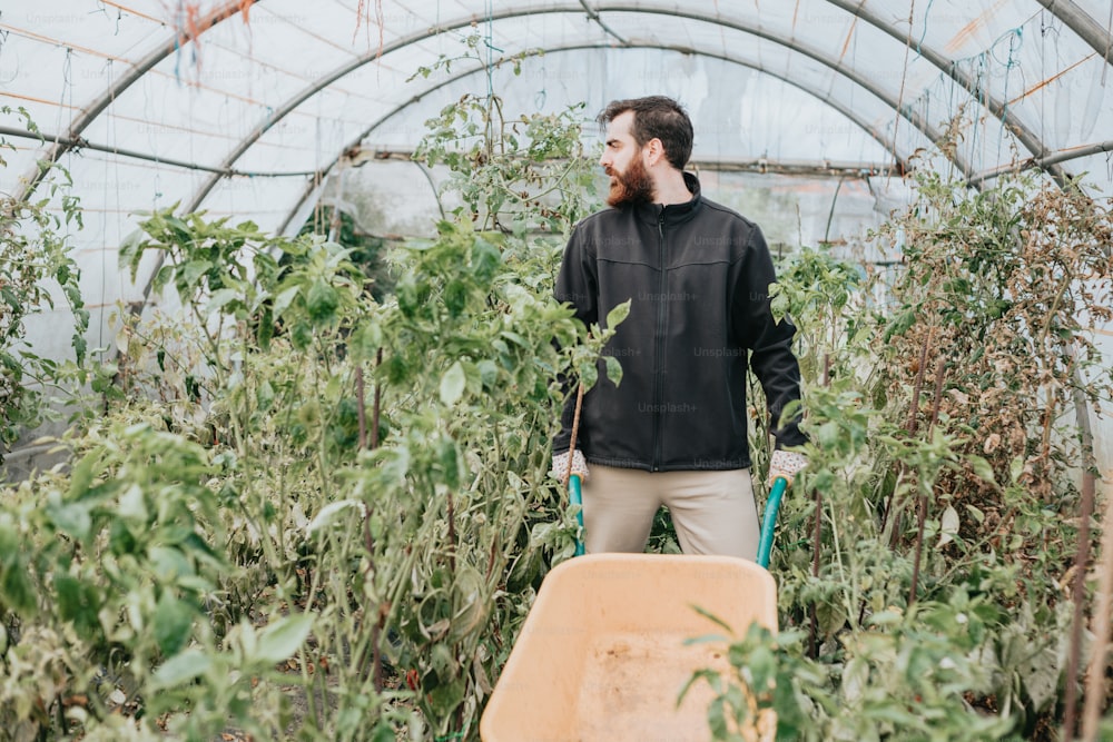 a man holding a wheelbarrow in a greenhouse