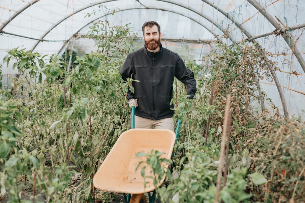 a man holding a wheelbarrow in a greenhouse