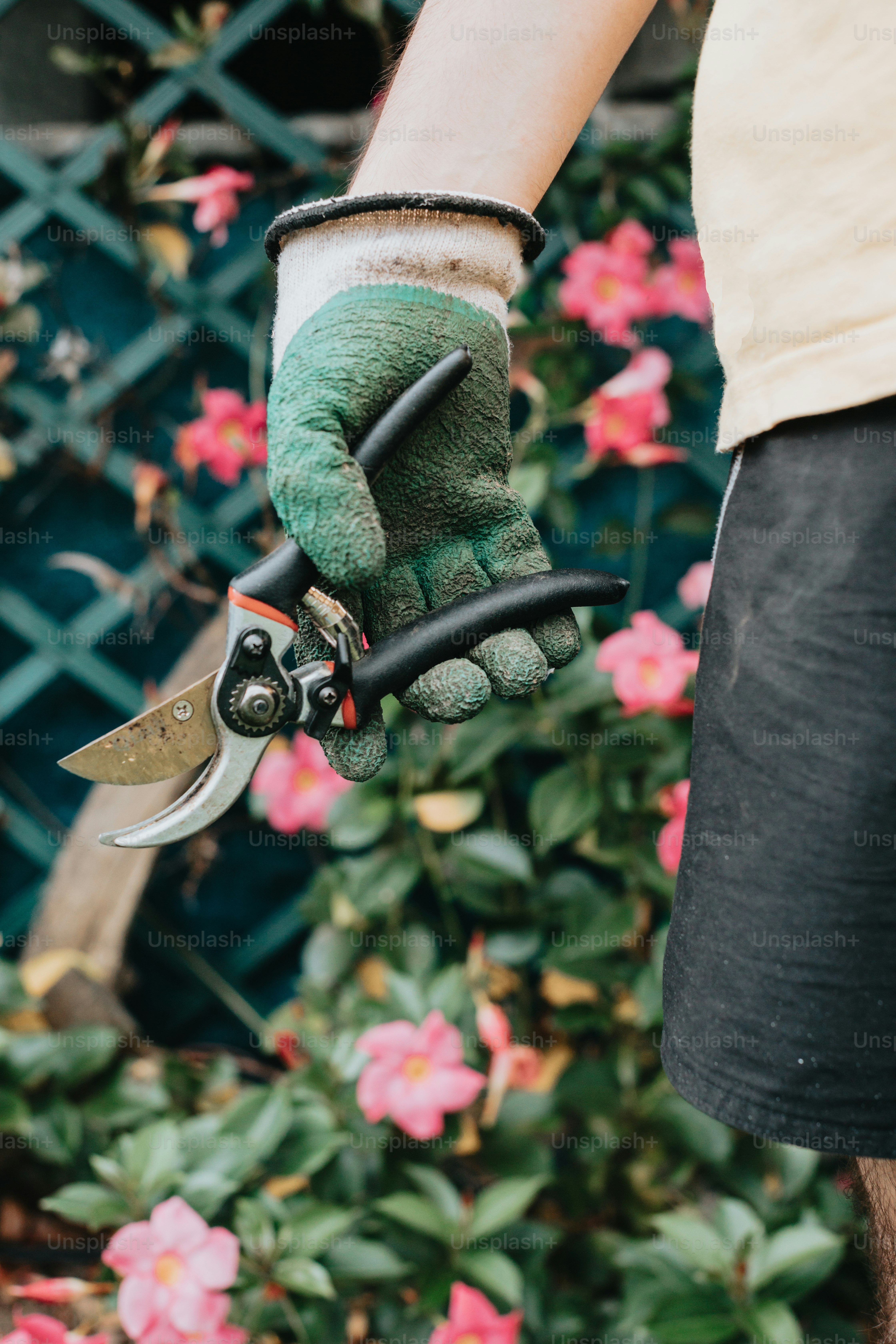 a person holding a pair of scissors in their hand