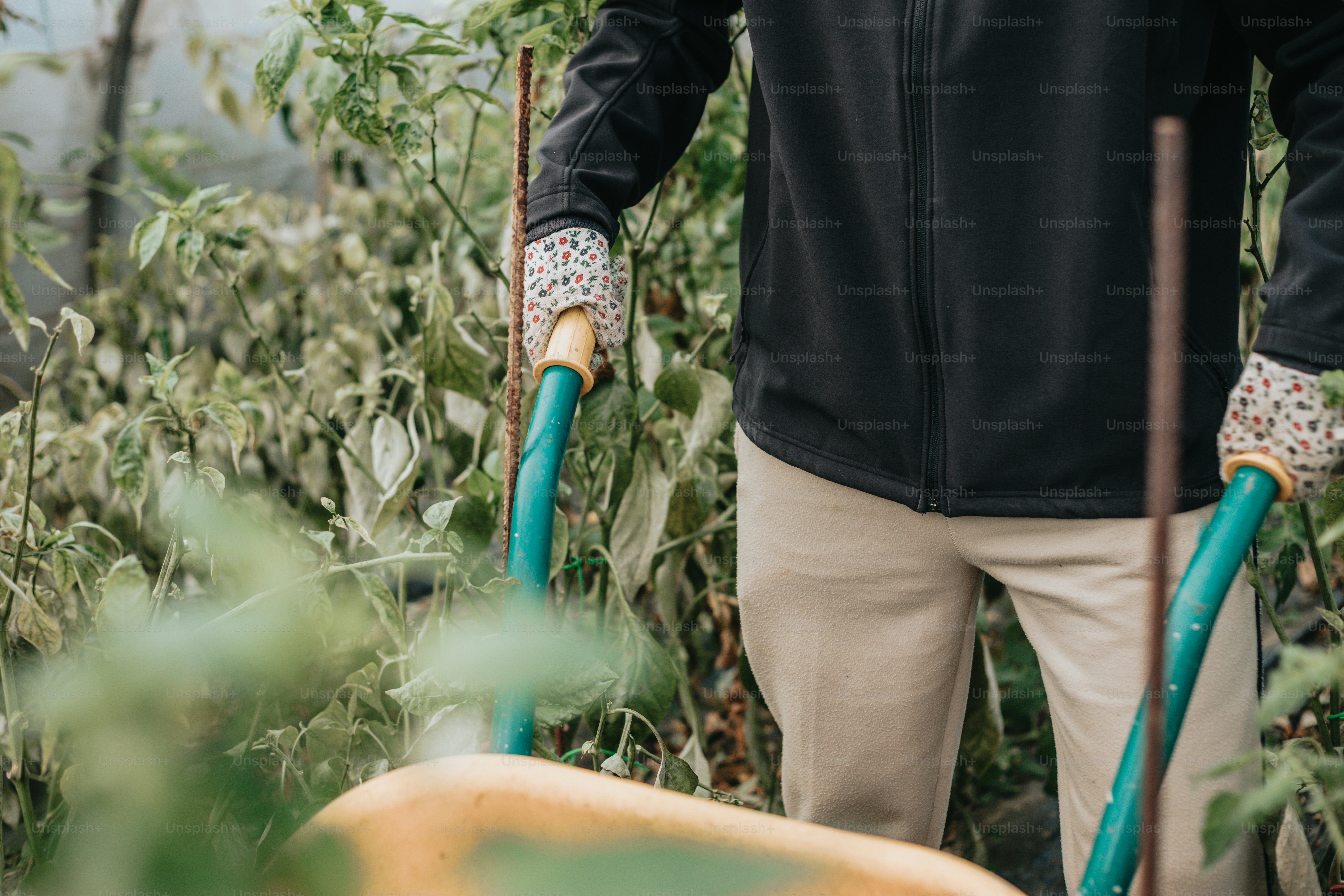Un uomo che tiene un manico blu in un campo