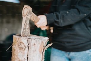 a person holding a hammer and a piece of wood