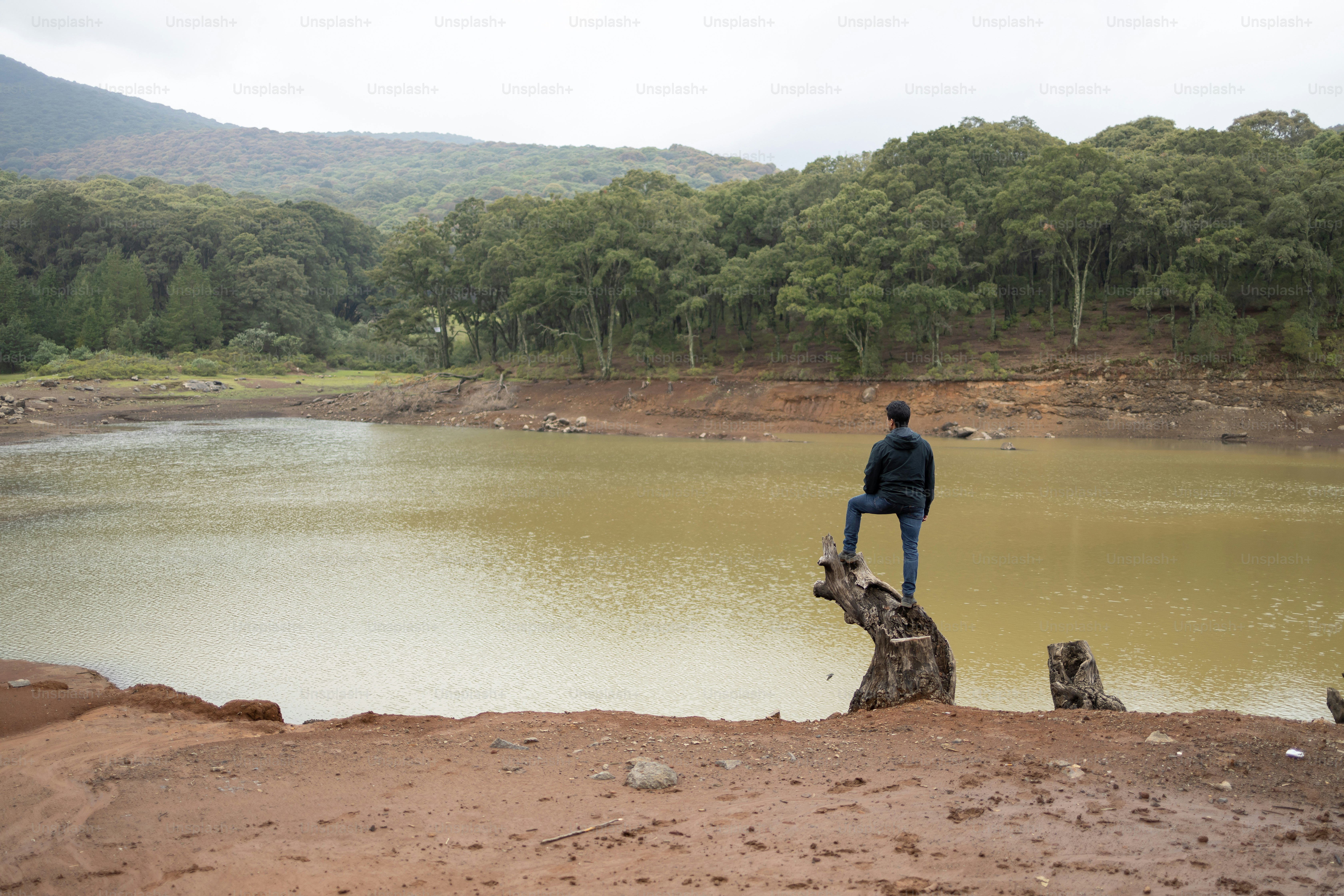 homme sur un rondin regardant l’horizon, la rivière et les arbres