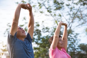 Happy Asian senior couple stretching before exercise at park outdoor.