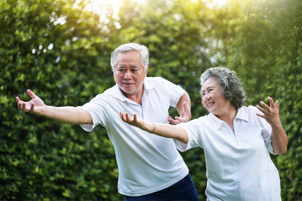 Asian Couple practicing Tai Chi in the park together. Healthy, workout and relaxation concepts. Smiling Chinese or Thai or Japanese people.