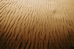 足跡が数本残る砂地