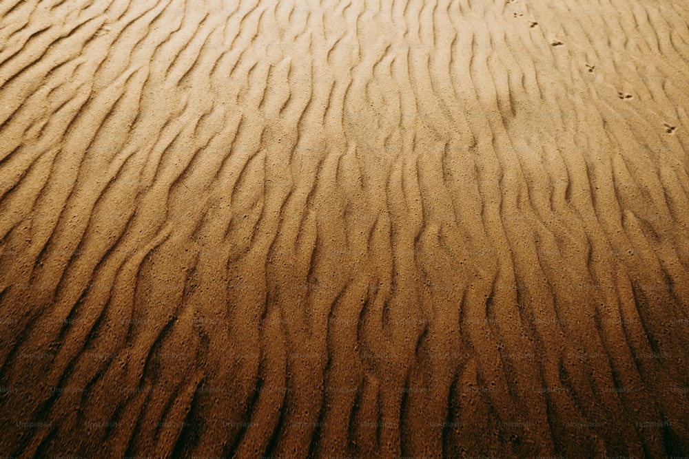 a sandy area with a few footprints on it