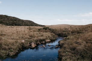 a stream running through a dry grass covered field