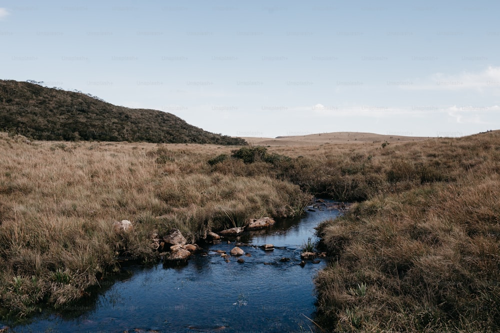 a stream running through a dry grass covered field