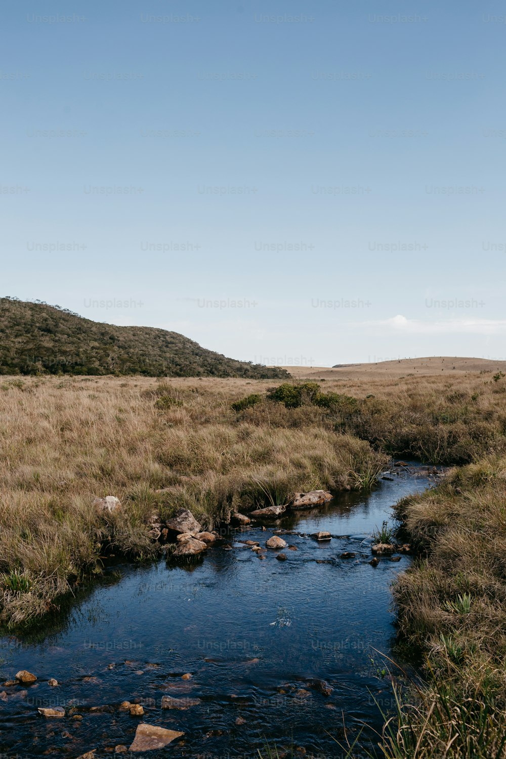 a stream running through a dry grass covered field