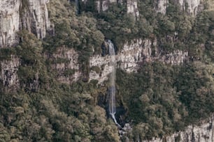 une cascade au milieu d’une montagne entourée d’arbres