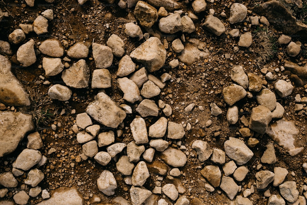um monte de pedras que estão deitadas no chão