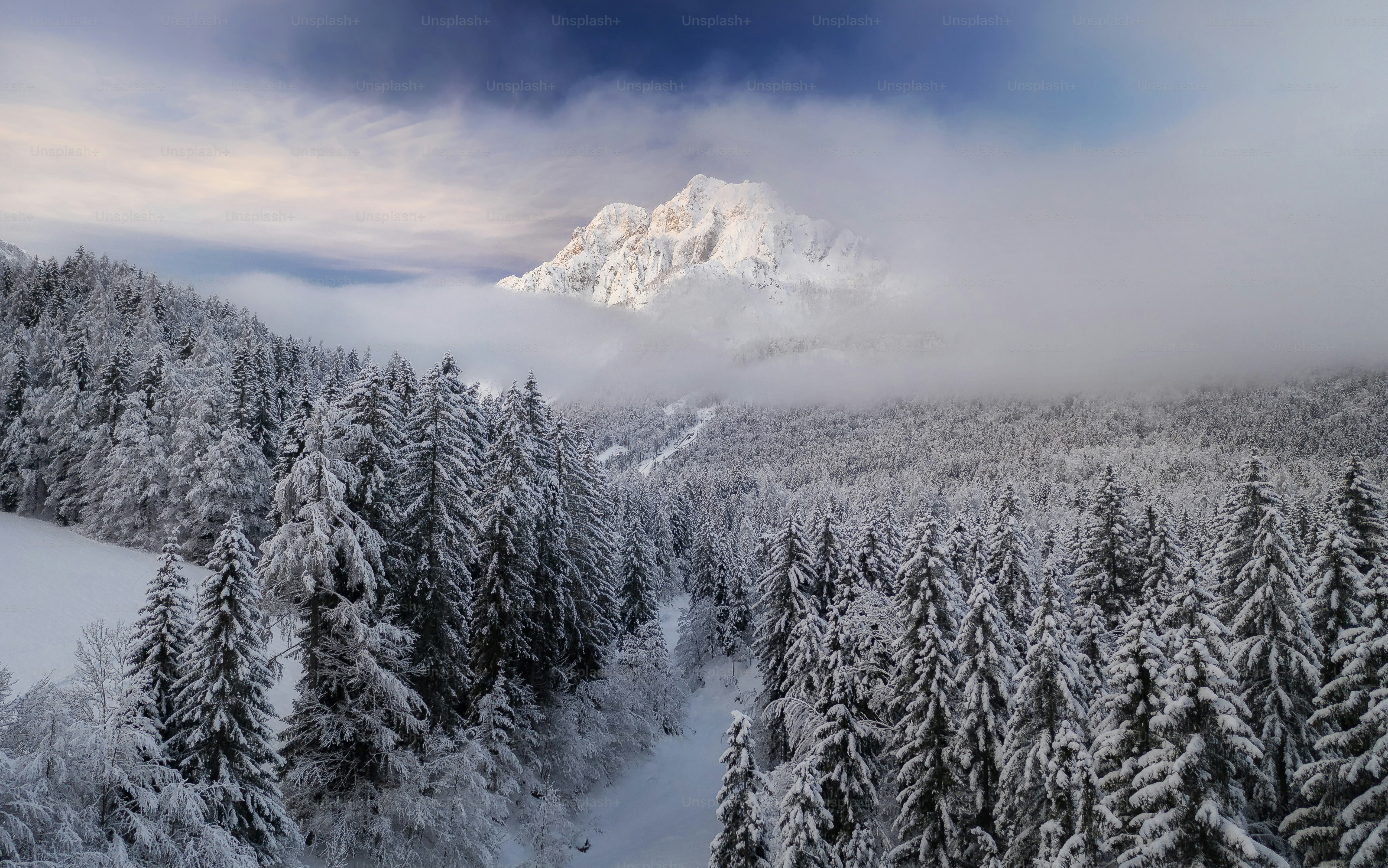 Ein schneebedeckter Berg, umgeben von Bäumen