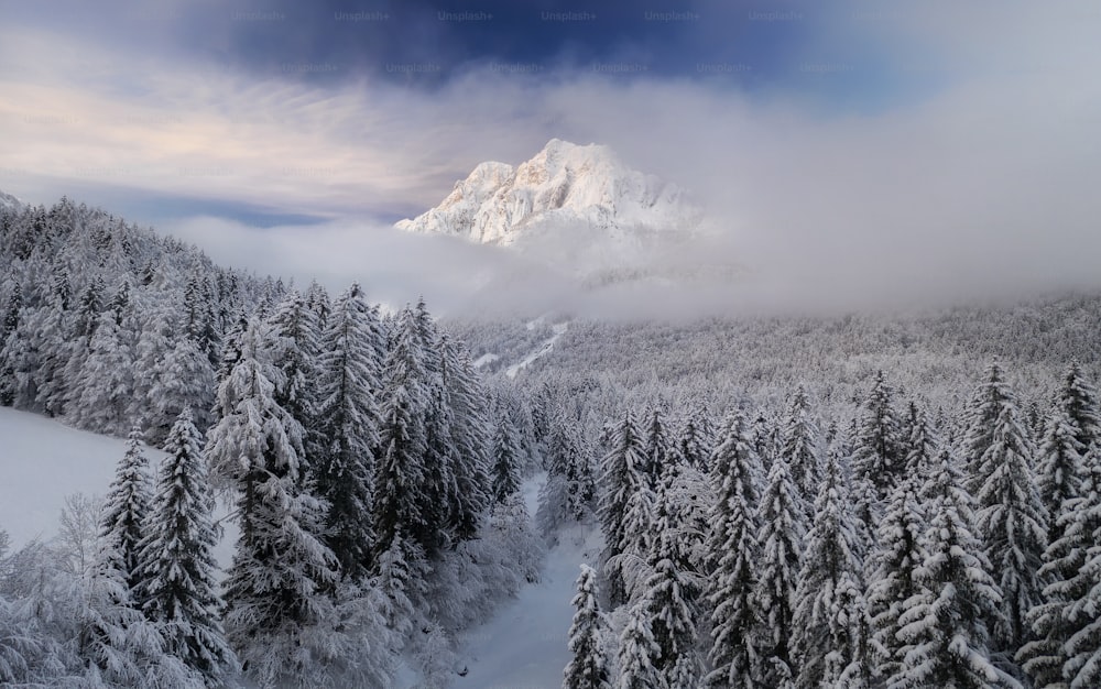 a mountain covered in snow surrounded by trees