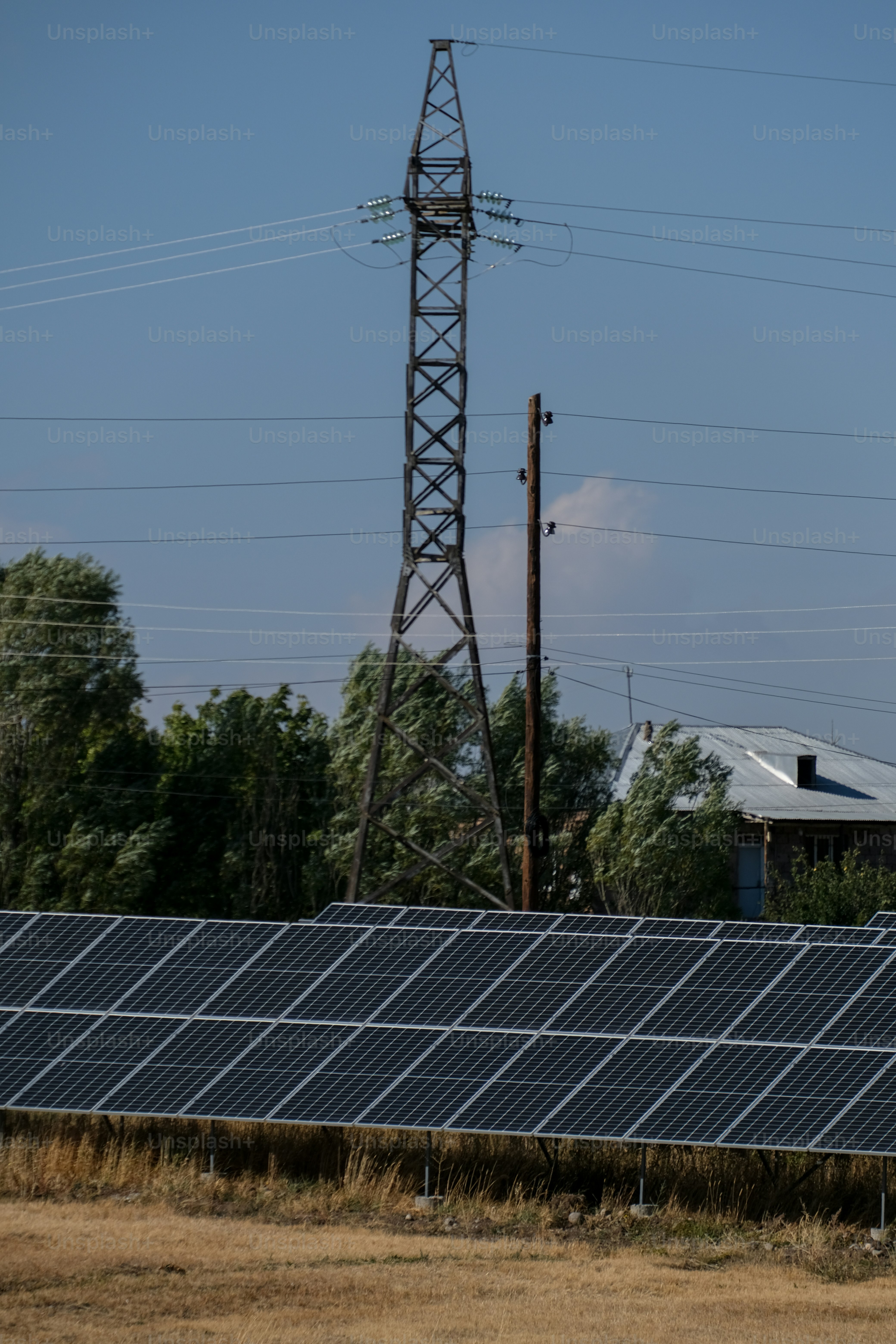 a row of solar panels in a field