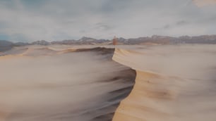 a person standing on top of a sand dune