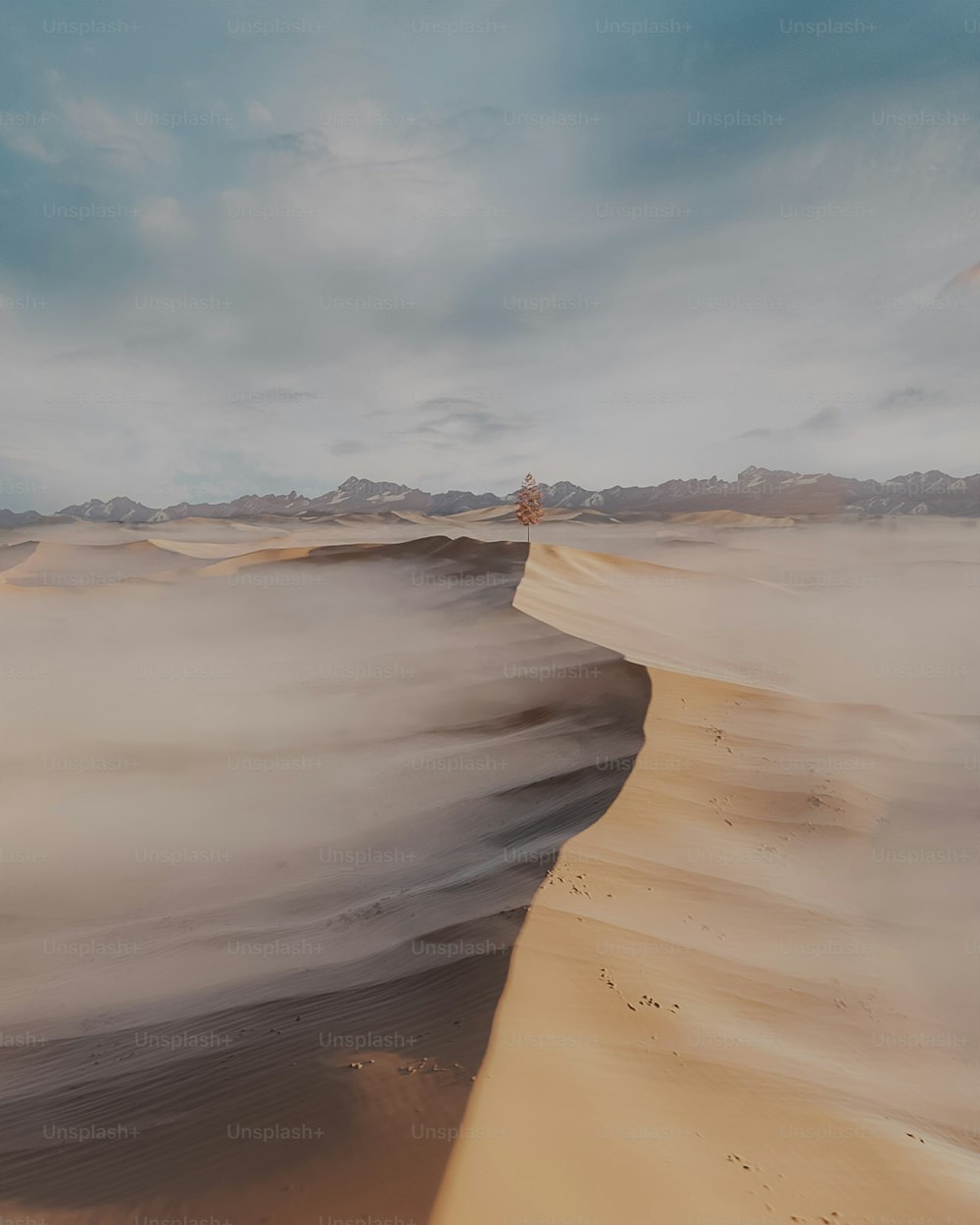 a person standing on top of a sand dune