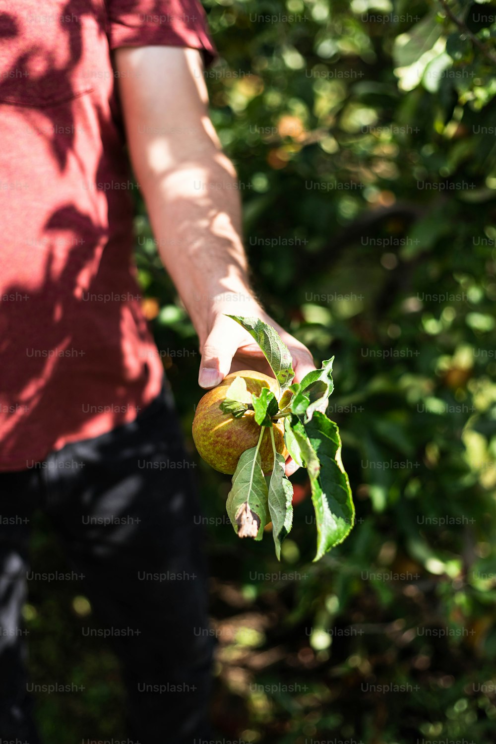 a person holding a fruit in their hand