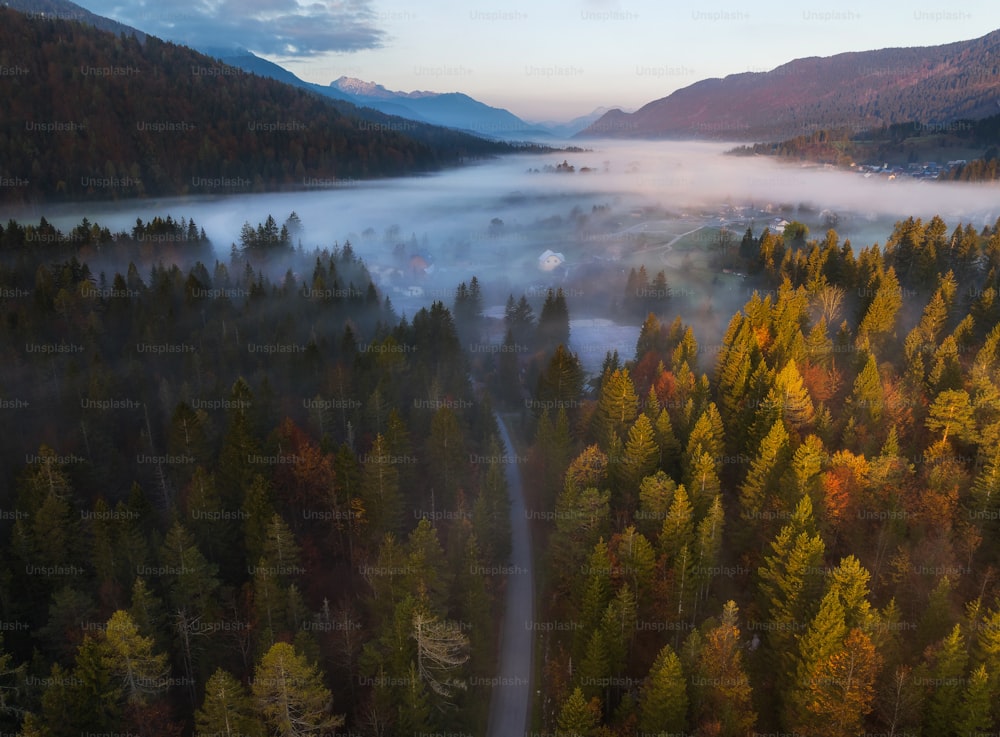 an aerial view of a road in the middle of a forest