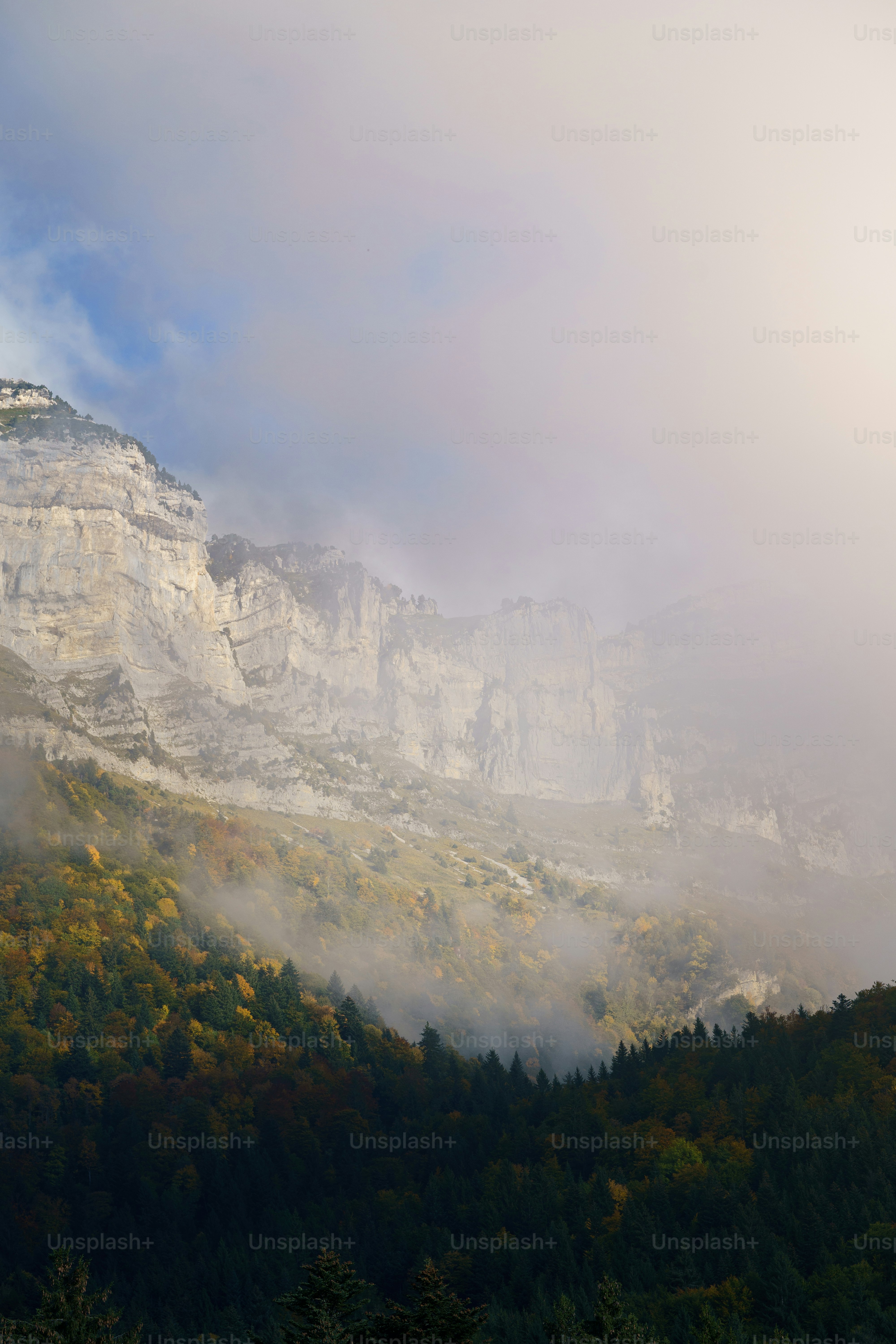 a mountain covered in fog with trees below